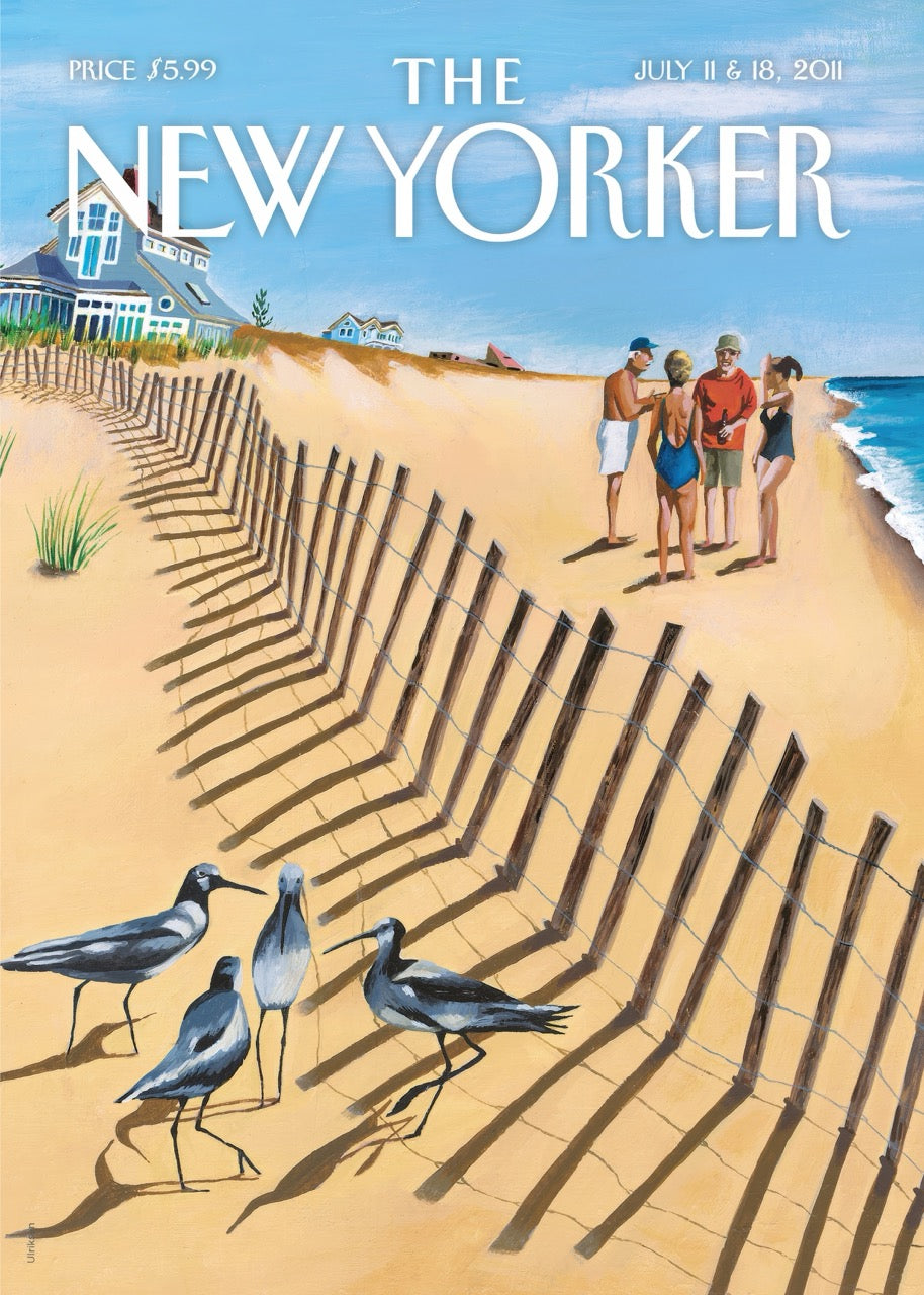 Iconic Collection of The New Yorker Covers – 72 Classic Issues (8x10 inches) - luxlabellabs.com