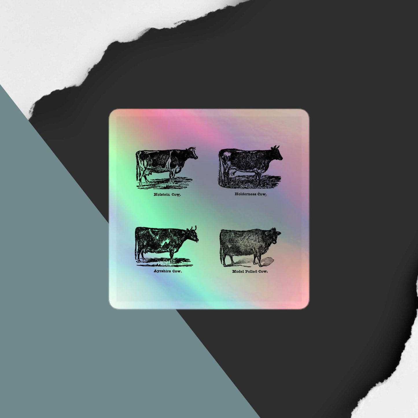 Cow Collection Holographic Stickers | Durable Vinyl & Eye-Catching Design - luxlabellabs.com