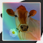 Pastoral Charm Cow Holographic Decal: Meadow Whispers - Limited Edition